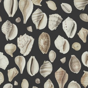 Fototapet Ocean Shells, Graphite, Rebel Walls