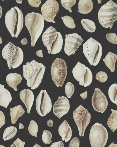 Tapet Ocean Shells, Graphite, cu scoici marine pe un fundal gri antracit