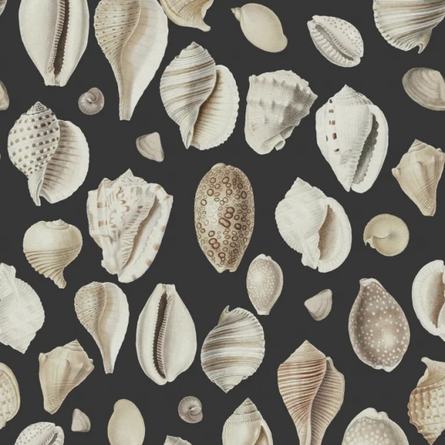 Tapet Ocean Shells, Graphite, cu scoici marine pe un fundal gri antracit