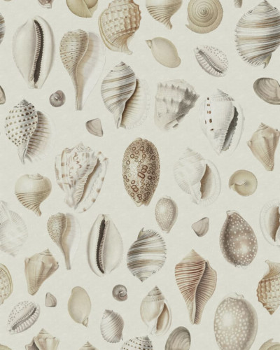 Tapet cu scoici de mare pe un fundal crem, Ocean Shells, Sand.