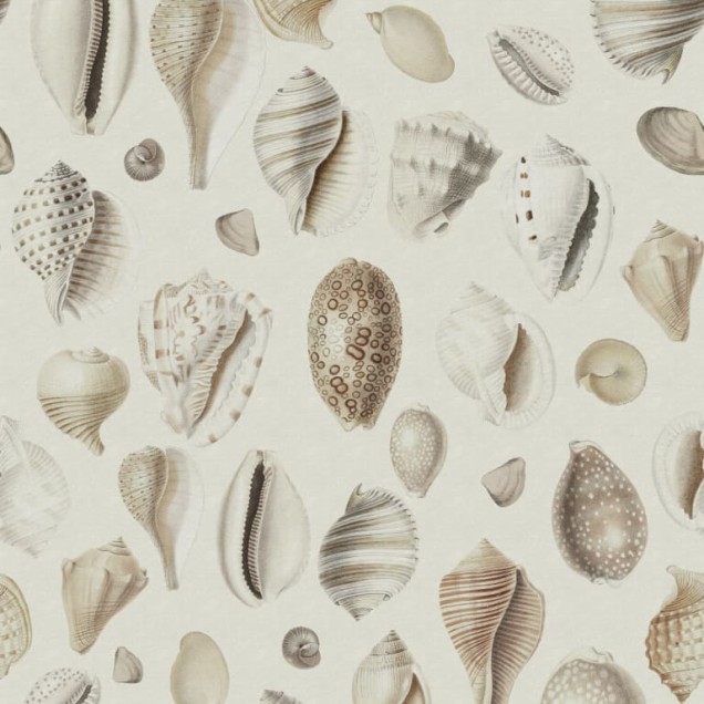 Tapet cu scoici de mare pe un fundal crem, Ocean Shells, Sand.