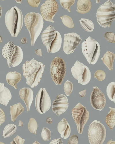 Tapet cu scoici Ocean Shells, Blue, pe un fundal gri deschis.
