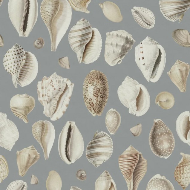 Tapet cu scoici Ocean Shells, Blue, pe un fundal gri deschis.
