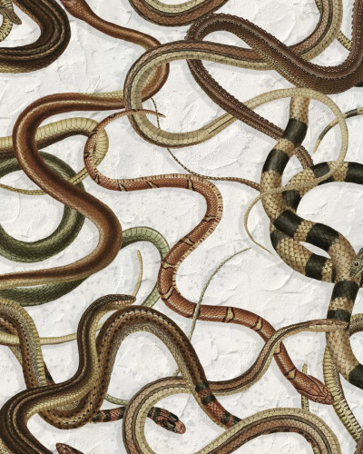 Tapet Snakey Graphite cu șerpi, model realist, design modern