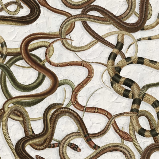 Tapet Snakey Graphite cu șerpi, model realist, design modern