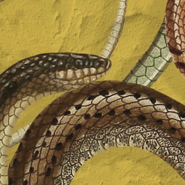 Tapet cu șerpi Snakey Yellow. Design unic cu șerpi pe un fond galben vibrant.