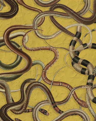 Tapet cu șerpi Snakey Yellow. Design unic cu șerpi pe un fond galben vibrant.