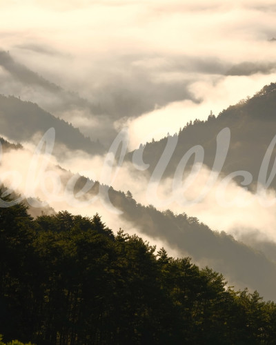 Tapet Mountain View cu vedere panoramica spre munti, in nuante de gri si maro, in dormitor.