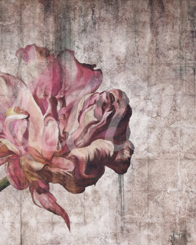 Wallpaper vintage cu o floare de mac.