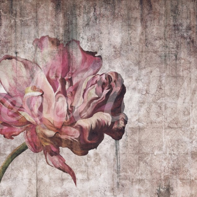Wallpaper vintage cu o floare de mac.