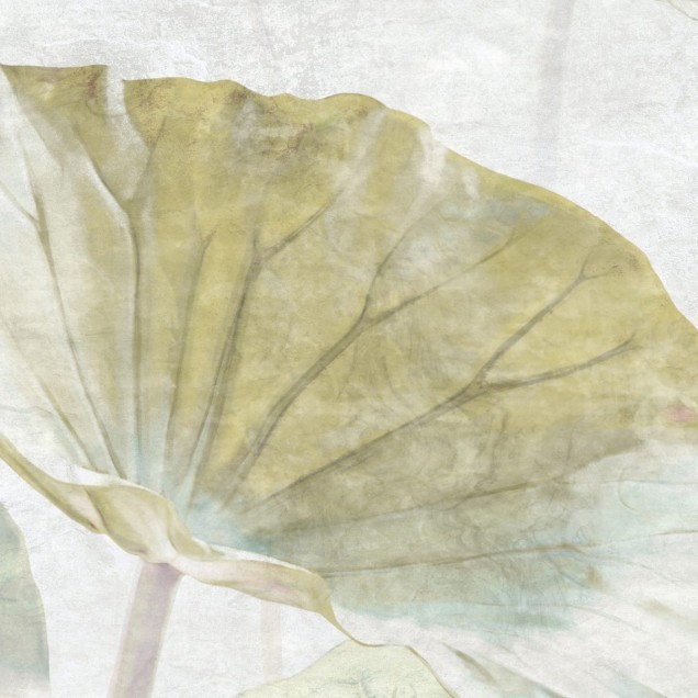Tapet cu flori de nufăr, cu nuanțe delicate de verde și albastru, creează o atmosferă relaxantă și inspirată de natură.