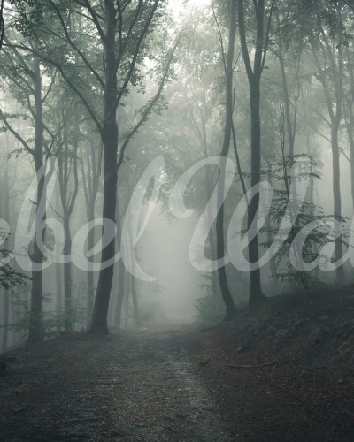 Wallpaper cu un drum în pădure învăluită în ceață