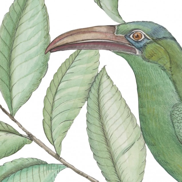 Tapet Monkeys Paradise, Alb, cu design modern, ilustrând maimuțe și păsări într-un decor natural.