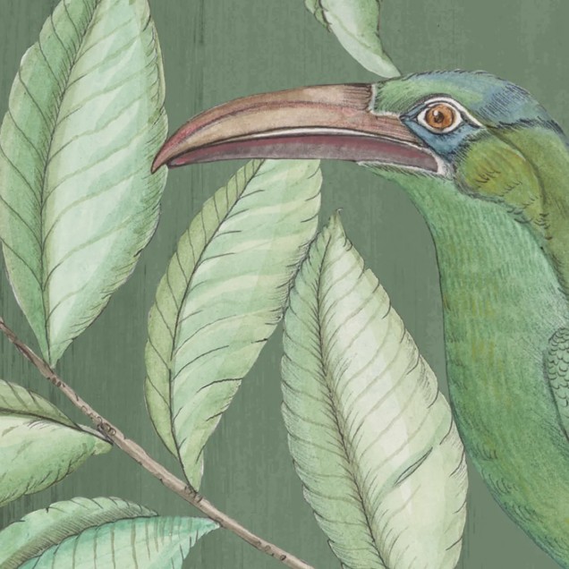 Tapet cu design tropical cu maimute, pasari si copaci verzi