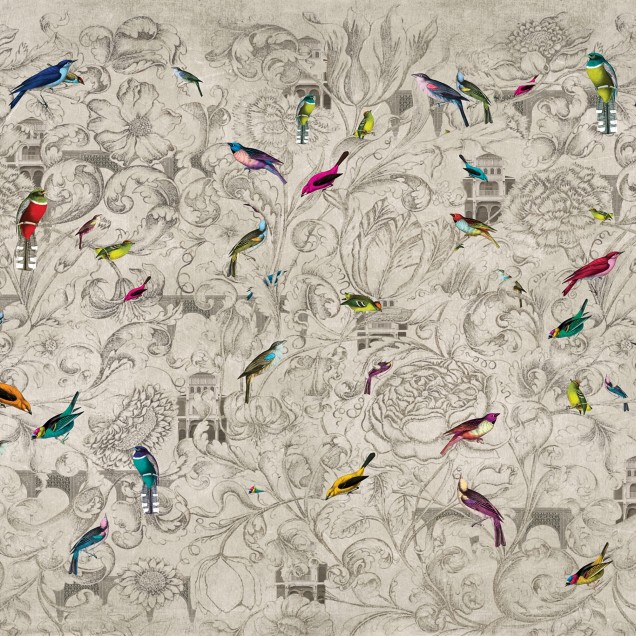 Tapet cu păsări colorate pe un fond gri deschis - Mural Kathmandu