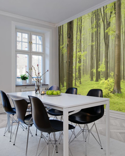 Tapet 3D cu o pădure densă, cu copaci înalți și verdeață luxuriantă, perfect pentru a crea o atmosferă relaxantă și primitoare.