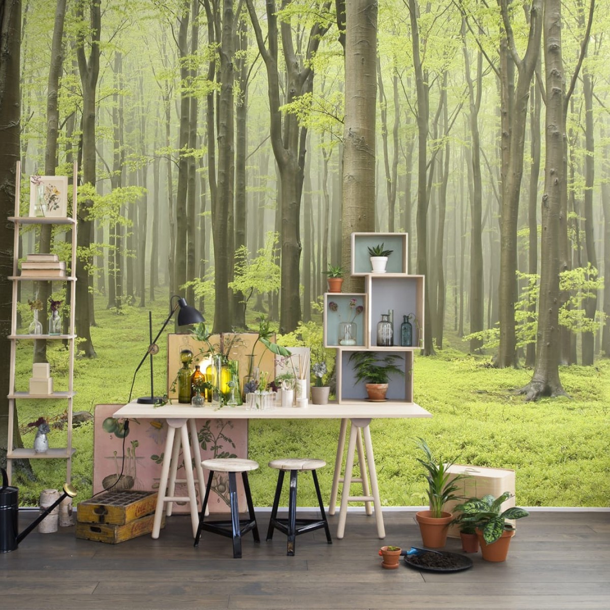 Foto tapet 3D Deciduous Forest, personalizat, Rebel Walls, Fototapet living 