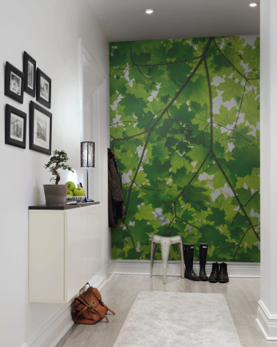 Tapet cu frunze de arțar, design natural și elegant
