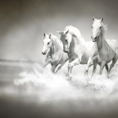 Fototapet Horses, personalizat, Rebel Walls