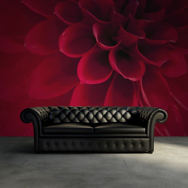 Tapet 3D Dahlia cu o floare roșie vibrantă, decorat cu detalii fine, perfect pentru dormitor.