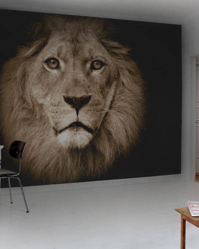 Tapet foto cu un leu, imagine realista, decoratiune interioara