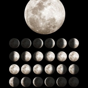 Fototapet Rebel Walls RBW-R11141. Conține culorile: Negru, Negru Închis, Bej, Bej Perlă, Gri, Gri Mătase, Gri, Gri-Maro