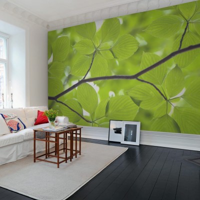 Tapet cu frunze verzi, design modern, elegant