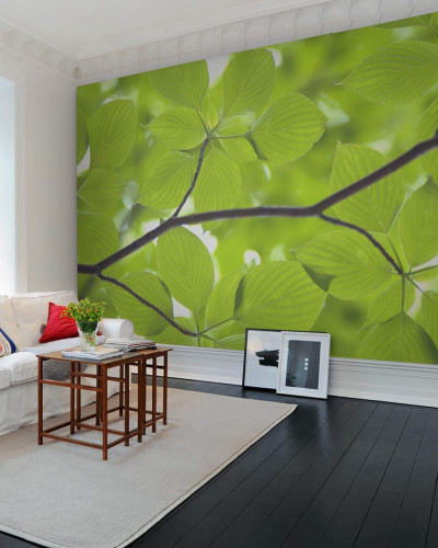 Tapet cu frunze verzi, design modern, elegant
