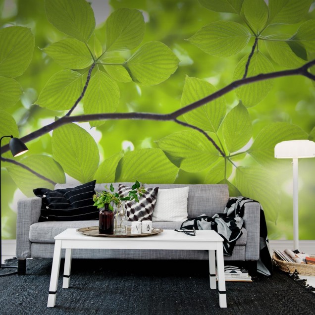 Tapet cu frunze verzi, design modern, elegant