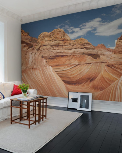 Imagine cu un tapet pe perete cu motive naturale in culori calde, cu un decor modern de living