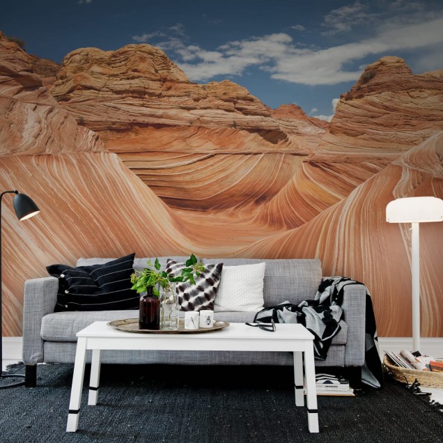 Imagine cu un tapet pe perete cu motive naturale in culori calde, cu un decor modern de living