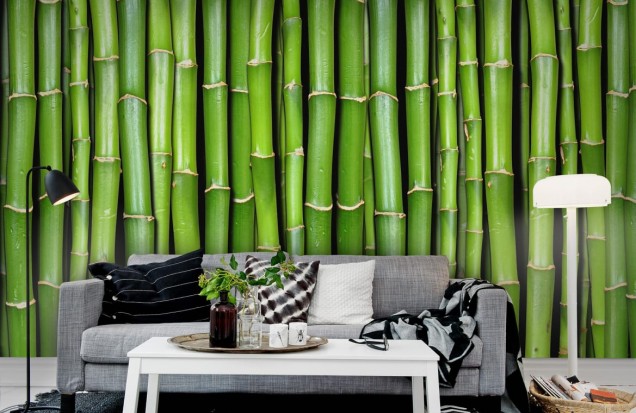Foto tapet 3D Bamboo, Rebel Walls