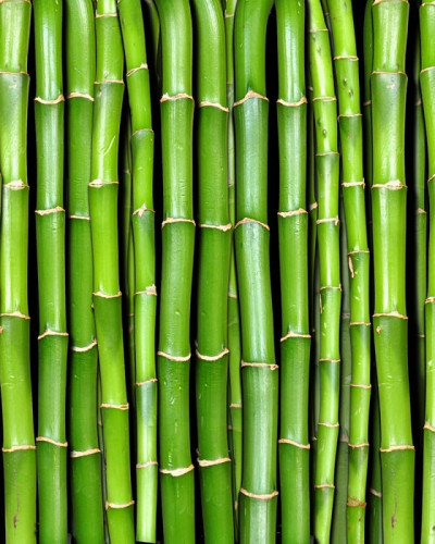 Tapet 3D Bamboo - design modern si elegant, perfect pentru dormitoare si livinguri
