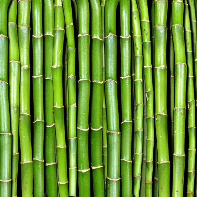 Tapet 3D Bamboo - design modern si elegant, perfect pentru dormitoare si livinguri