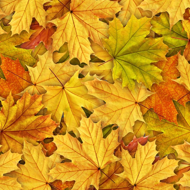 Autumn Leaves,  cu un design simplu şi elegant, perfect pentru a crea un spaţiu primitor şi confortabil.