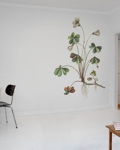 Tapet cu un design botanic cu flori și frunze verzi pe fundal alb.