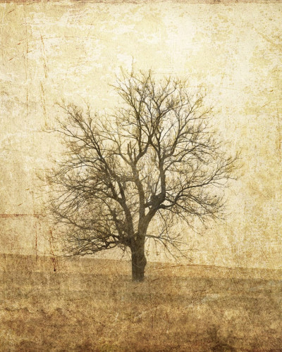 Tapet cu copac solitar pe un fundal vintage.