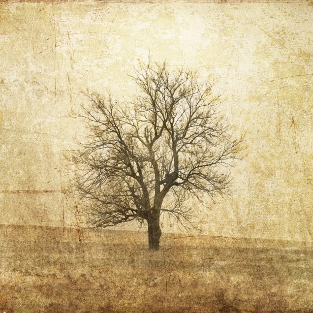 Tapet cu copac solitar pe un fundal vintage.