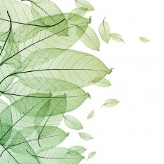 Fototapet Foliage, personalizat, Rebel Walls
