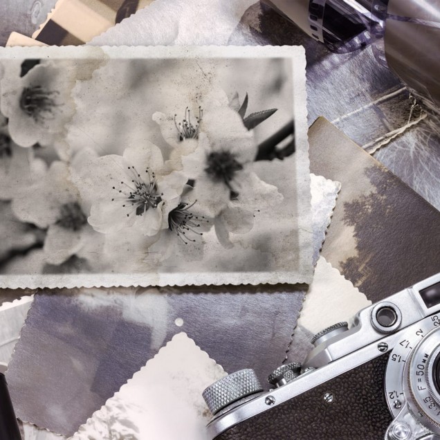 Un tapet cu design nostalgic, format din fotografii vechi și detalii subtile, perfect pentru a crea o ambianță relaxantă.