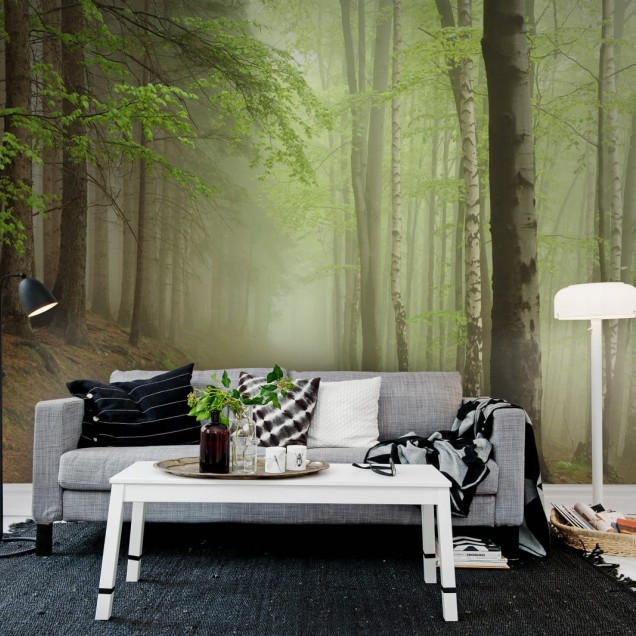 Forest Path tapet - o cale ascunsă printre copaci înverziți, învăluită în ceață de dimineață.