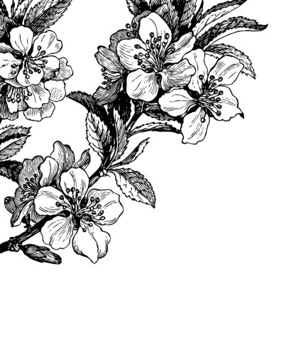 Tapet floral alb-negru, design minimalist