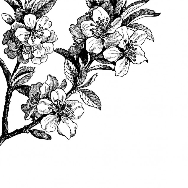 Tapet floral alb-negru, design minimalist