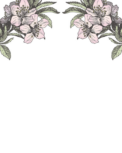 Fototapet floral minimalist cu flori roz pe fundal alb
