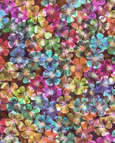 Tapet floral cu flori multicolore, ideal pentru decorarea interioarelor.