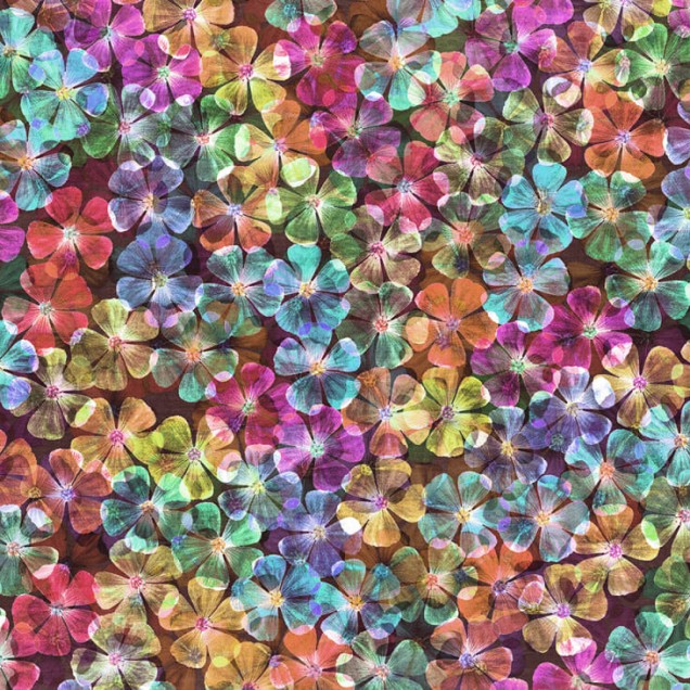 Tapet floral cu flori multicolore, ideal pentru decorarea interioarelor.