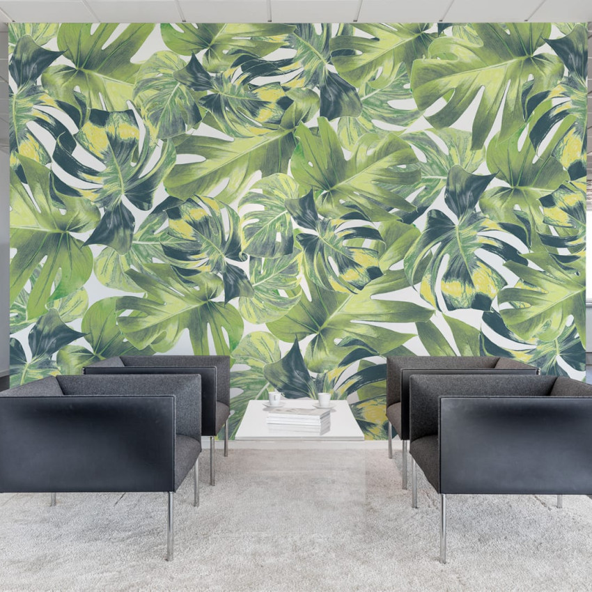 Tapet cu frunze de Monstera, Welcome To The Jungle