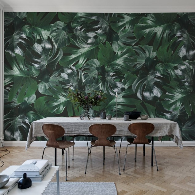 Tapet cu frunze de Monstera, Welcome To The Jungle