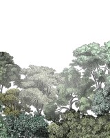 Bellewood, Rebel Walls