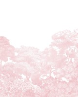 Bellewood, Pink, Rebel Walls